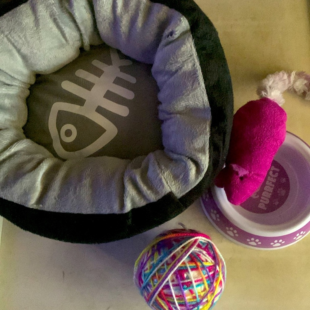 HOST PICK Bundle of Cozy comfortable very small kitten cat bed plus 3 items